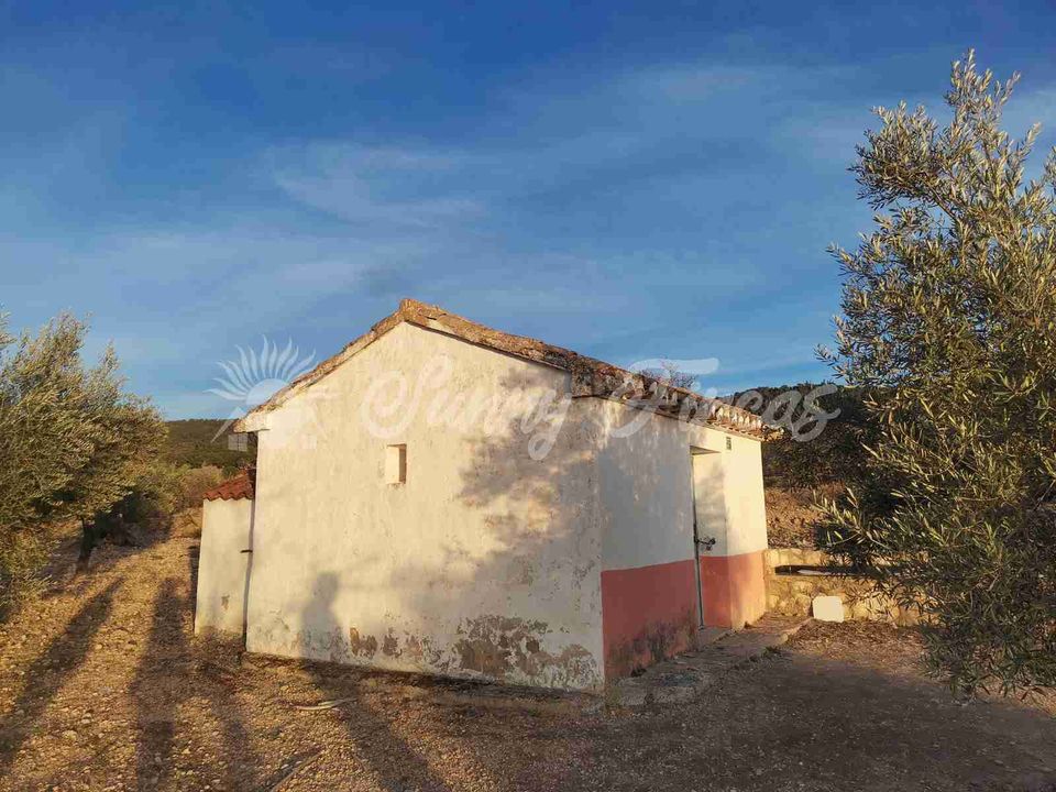 Terra em Biar, Alicante - foto 3
